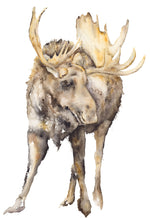 Load image into Gallery viewer, Buttermilk Card