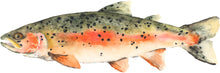 Load image into Gallery viewer, Brook Trout Card