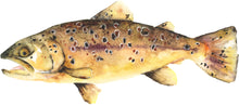 Load image into Gallery viewer, Brown Trout Card
