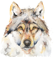 Load image into Gallery viewer, Scout