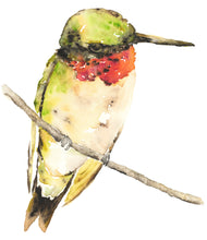 Load image into Gallery viewer, Twig