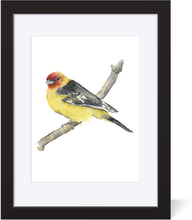 Load image into Gallery viewer, Blaze