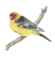 Load image into Gallery viewer, Blaze