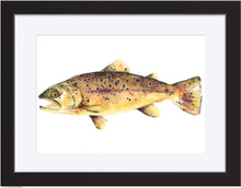 Load image into Gallery viewer, Brown