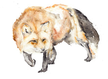 Load image into Gallery viewer, Hunter