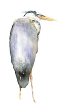 Load image into Gallery viewer, Great Blue