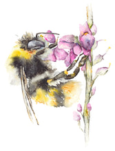 Load image into Gallery viewer, Oh Honey