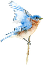 Load image into Gallery viewer, Baby Blue Card