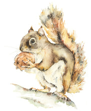 Load image into Gallery viewer, Buster