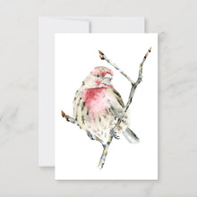 Load image into Gallery viewer, The Flock - All Birds Art Card 12-Pack