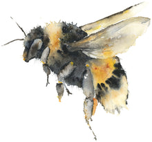 Load image into Gallery viewer, Honey Card