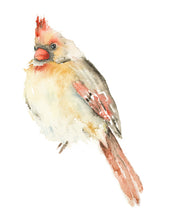 Load image into Gallery viewer, Lady