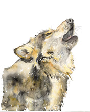 Load image into Gallery viewer, Midnight