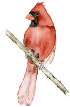 Load image into Gallery viewer, Red Card