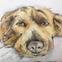 Load image into Gallery viewer, Custom Pet Portrait