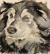 Load image into Gallery viewer, Custom Pet Portrait