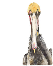 Load image into Gallery viewer, The Pelican Brief