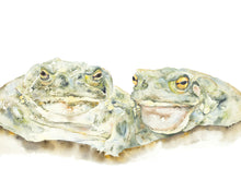 Load image into Gallery viewer, The Toads