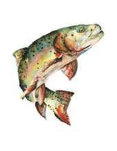 Load image into Gallery viewer, Rainbow