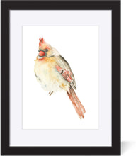 Load image into Gallery viewer, Lady