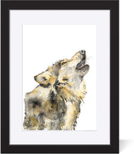 Load image into Gallery viewer, Midnight