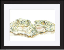 Load image into Gallery viewer, The Toads