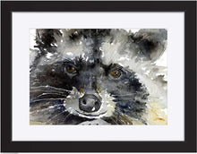 Load image into Gallery viewer, Trouble