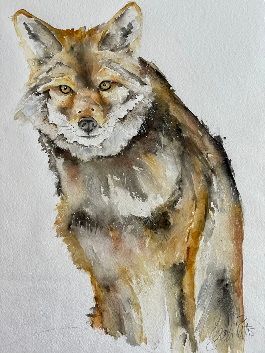 Wolf