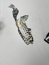 Load image into Gallery viewer, Wild Turkey (In Progress)

