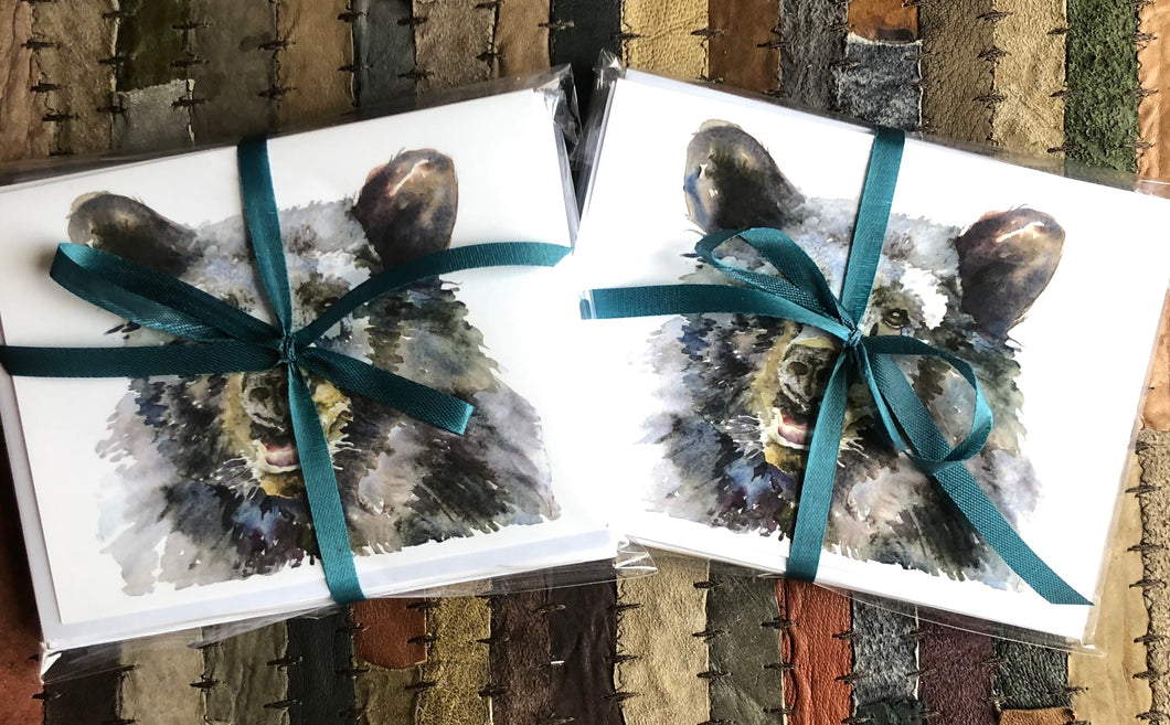 Complete Animal Art Card 24-Pack!
