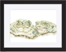 Load image into Gallery viewer, The Toads

